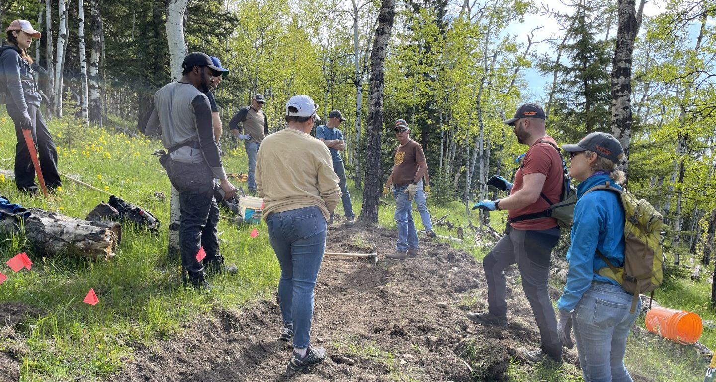 Jumped Up Loops trail-building