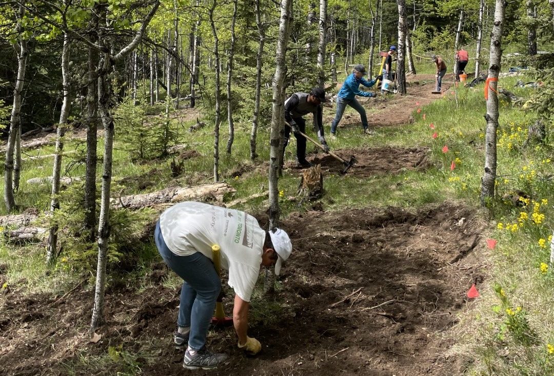 Jumped Up Loops trail-building